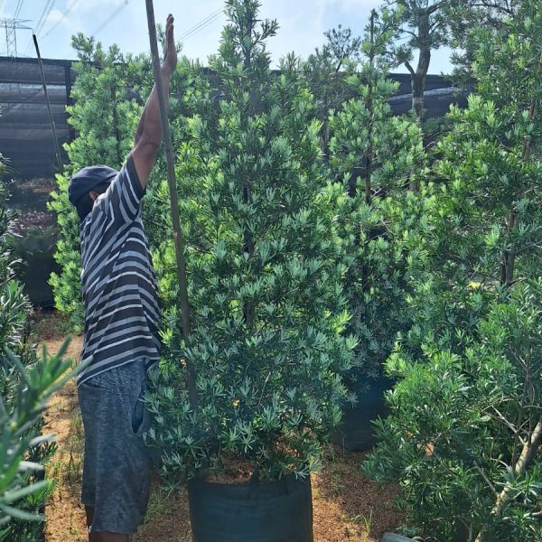 WhatsApp Image 2026-02-28 at 06.03.08