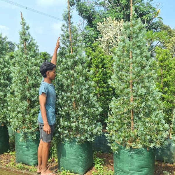 WhatsApp Image 2026-02-28 at 06.03.09 (1)