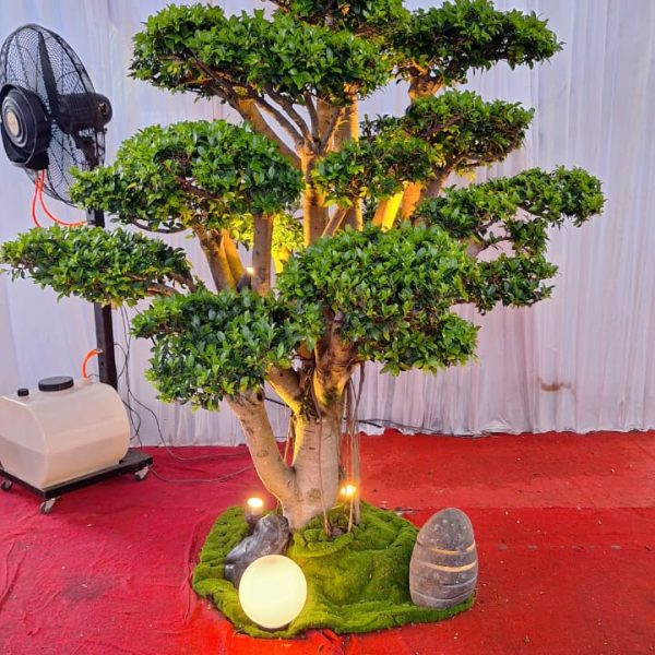 WhatsApp Image 2026-02-28 at 06.03.09