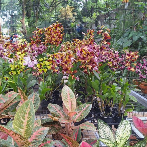 WhatsApp Image 2026-02-28 at 06.03.10 (1)