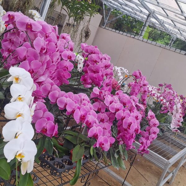 WhatsApp Image 2026-02-28 at 06.03.10