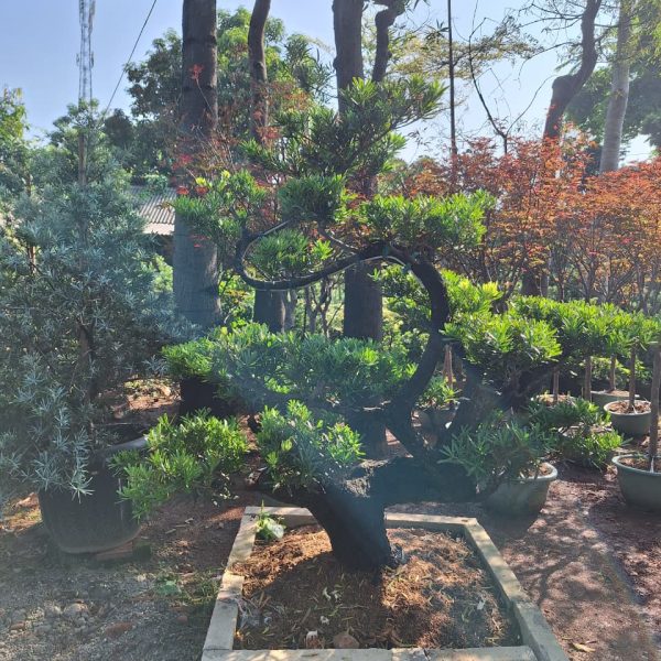 WhatsApp Image 2026-02-28 at 06.03.13