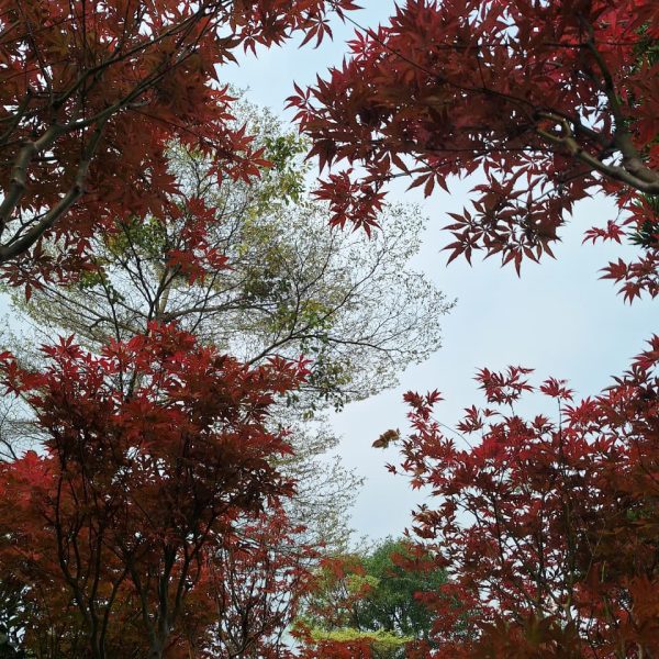 WhatsApp Image 2026-02-28 at 06.03.14 (1)