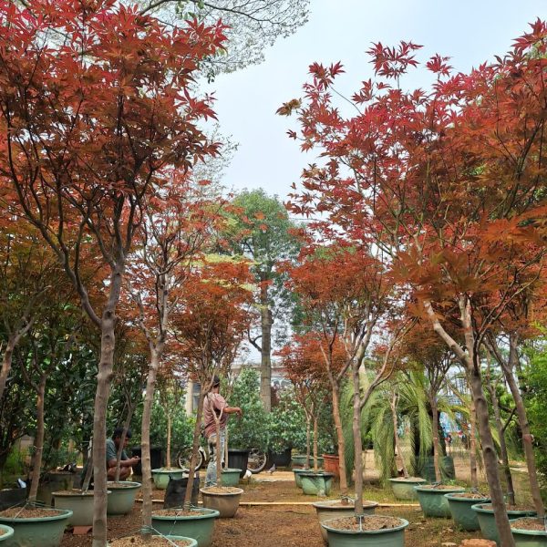 WhatsApp Image 2026-02-28 at 06.03.15 (1)