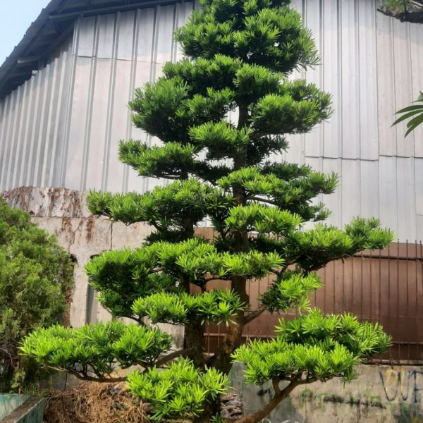 WhatsApp Image 2026-02-28 at 06.03.16